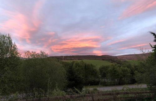 The Annex at Bonnieview - Photo 20