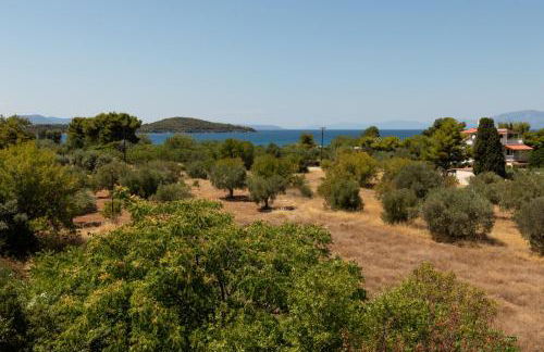 Jacuzzi Pool House AMA5690 - Foto 60