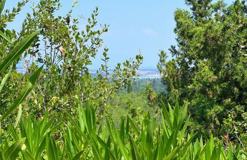 Linda House Corfu - Foto 11