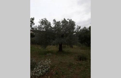 wine apartment le sedici - Foto 34