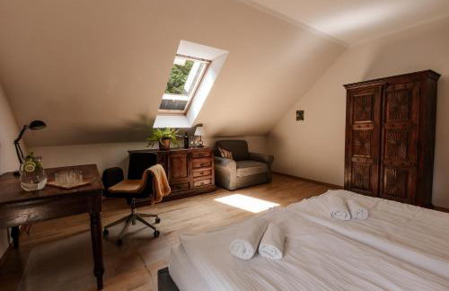 Dom Puchacza w Lądku-Zdroju - Foto 16