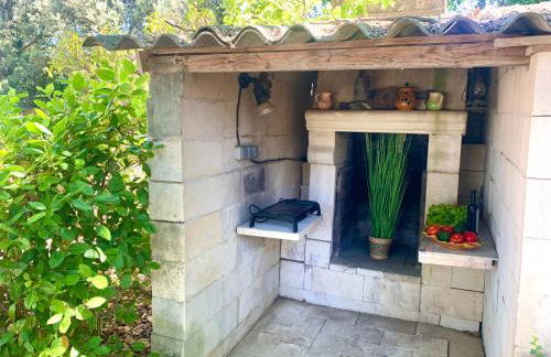 La maison aux oiseaux - Luberon - Foto 52