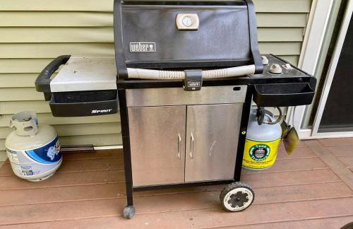 Private Oasis Near Lake Michigan & Warren Dunes! - Foto 17