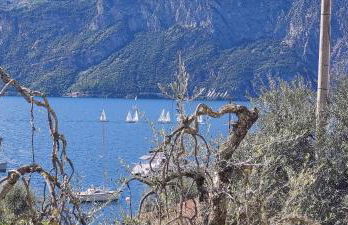 MariGarda Apartments - Foto 11