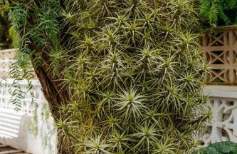 Casa con jardin para familias y grupos - Photo 29