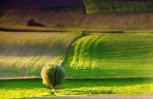 Cosy house with workplace, balcony and garden 30 min to Marienburg - Foto 30