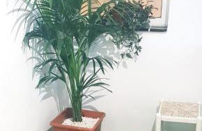 El rincón de MI NIÑA - Foto 33