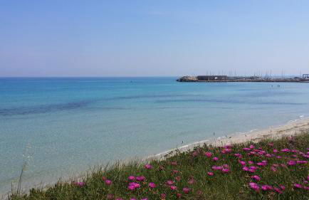 casa azzurra - Foto 1