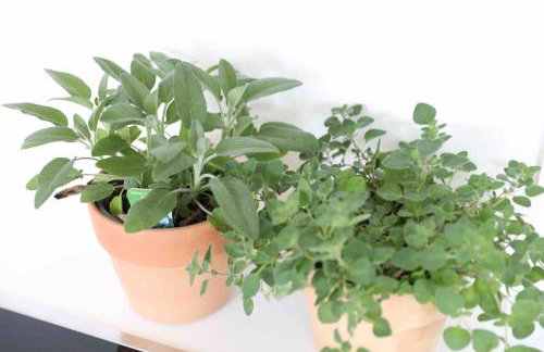 Pegnitz Apartement - Foto 13