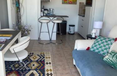 Superbe vue mer panoramique F3 - Photo 11