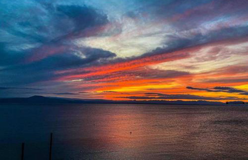 Poseidon’s Bayview - Photo 16