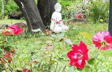 B&B Caselunghe - Foto 11