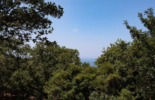 Aura Traditional Apartment - Foto 9