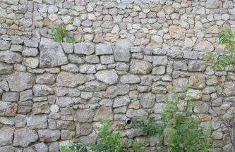 Primavera - Photo 74