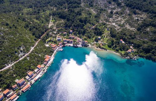 Apartments Patricija - Photo 23