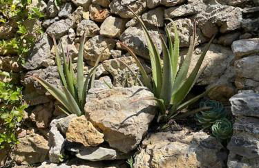 Casa Marina - Photo 2