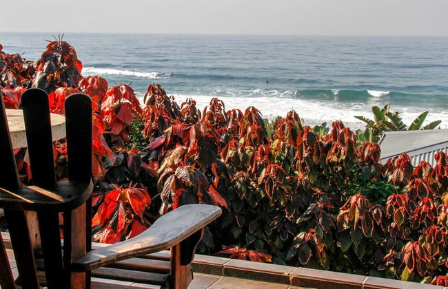 Carpe Diem - Photo 63