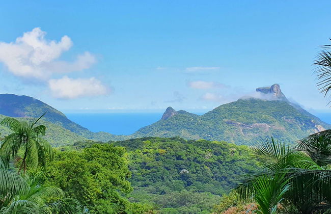 Tijuca National Park Cave & Waterfall Hike - Photo 8