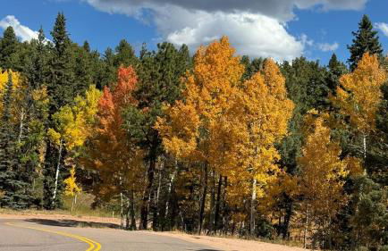 Misty Mountain Colorado - Foto 14