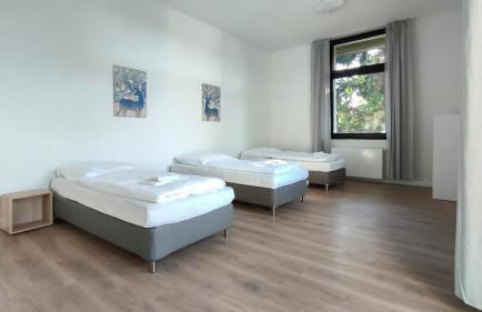 Tolstov Apartments - City Apartments with 2 , 3 and 6 Rooms - 15 Min to Messe DUS and Old Town DUS - Foto 9