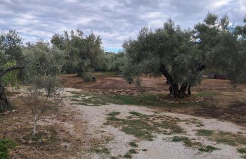 Kaspy Country Houses - Foto 48