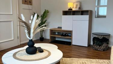 Wohlfühl Appartment - Wohnen auf Zeit - Netflix - Foto 4