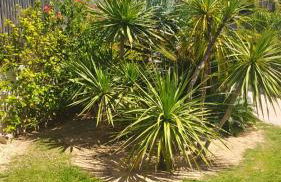 Port Aventura 5 min à pied - Superbe appartement - Foto 39