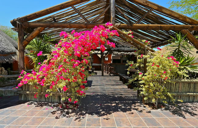 Solitaire Desert Farm - Foto 40