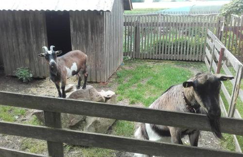 Kösseineblick - Foto 18