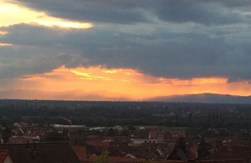 Pantone Ultra - Foto 30