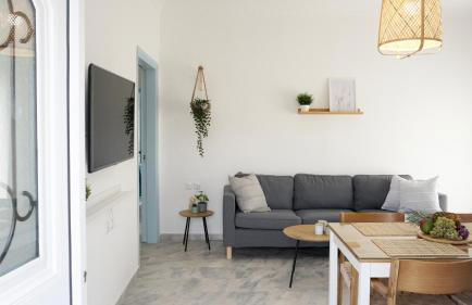 Andrikas Villa at Xenios Avlais - Foto 2