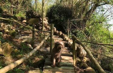 La Fontana, descubre Cabarceno y Cantabria - Foto 12
