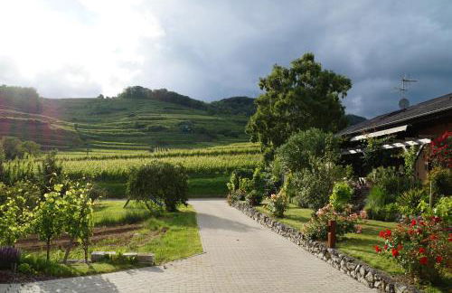 Maienbrunnenhof - Foto 9