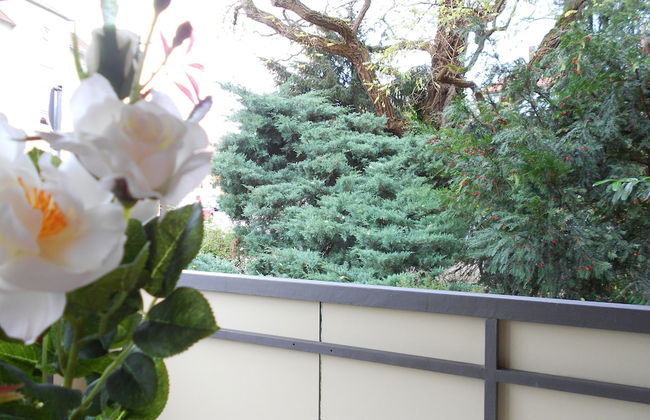 Hofgarten - Photo 12