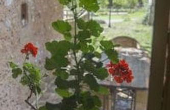 Agriturismo Poggio ai Legni - Foto 11