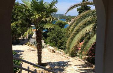 Apartment in Maslinica 70m from the sea - Photo 46