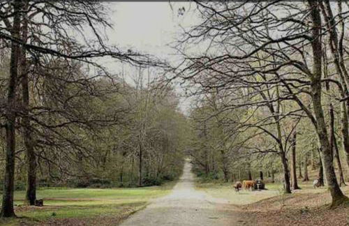 Casa Sofia - Foto 63