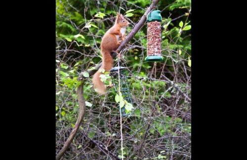 The Crannog on Loch Tay - Foto 12