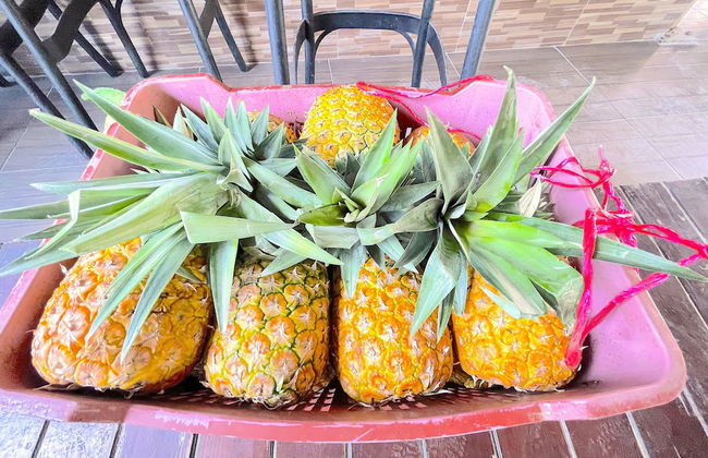 Relax Studios Deluxe POOL WIFI BEACH - Photo 37