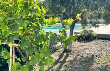 Sun Holidays Home - Foto 62