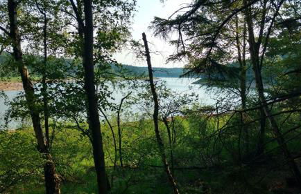 Schmugglernest - Foto 34