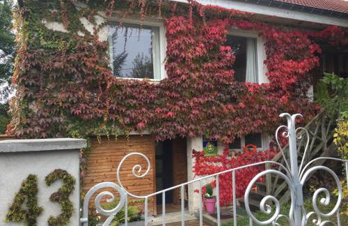 La Sapinière de Vittel - Foto 8