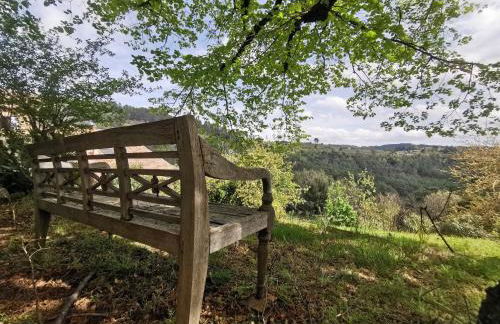 Les IRIS des Rieux - Foto 24