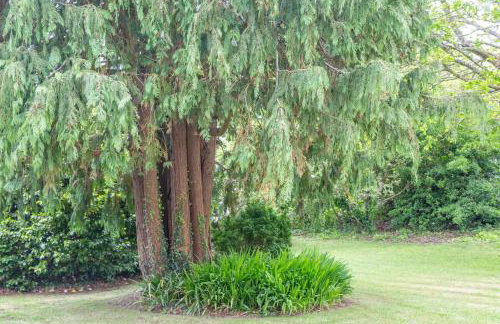 Maison Ty Mel à 3 km des plages - Foto 18