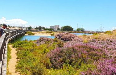 Alvor Beach Apartment - Photo 21