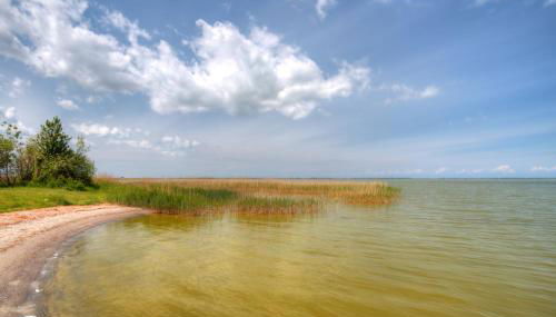 Ferienhaus am Saaler Bodden - Foto 4