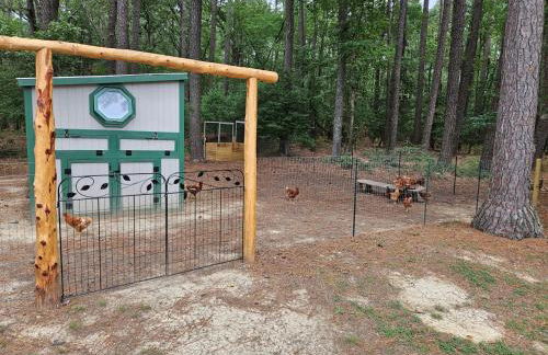 Sunset Breezes - quiet waterfront retreat - Foto 45