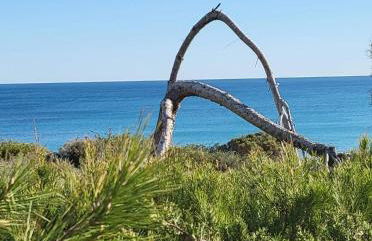 Apartamento Carlos , Lomas de Cabo Roig area,2 bedroom,2 terraces,swimming pool - Foto 35