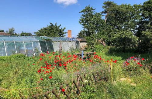 Meridiamus 2 - Ferienhäuschen in Boddennähe - Foto 14