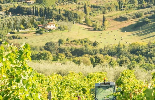 Agriturismo Il Casolare di Bucciano - Photo 33